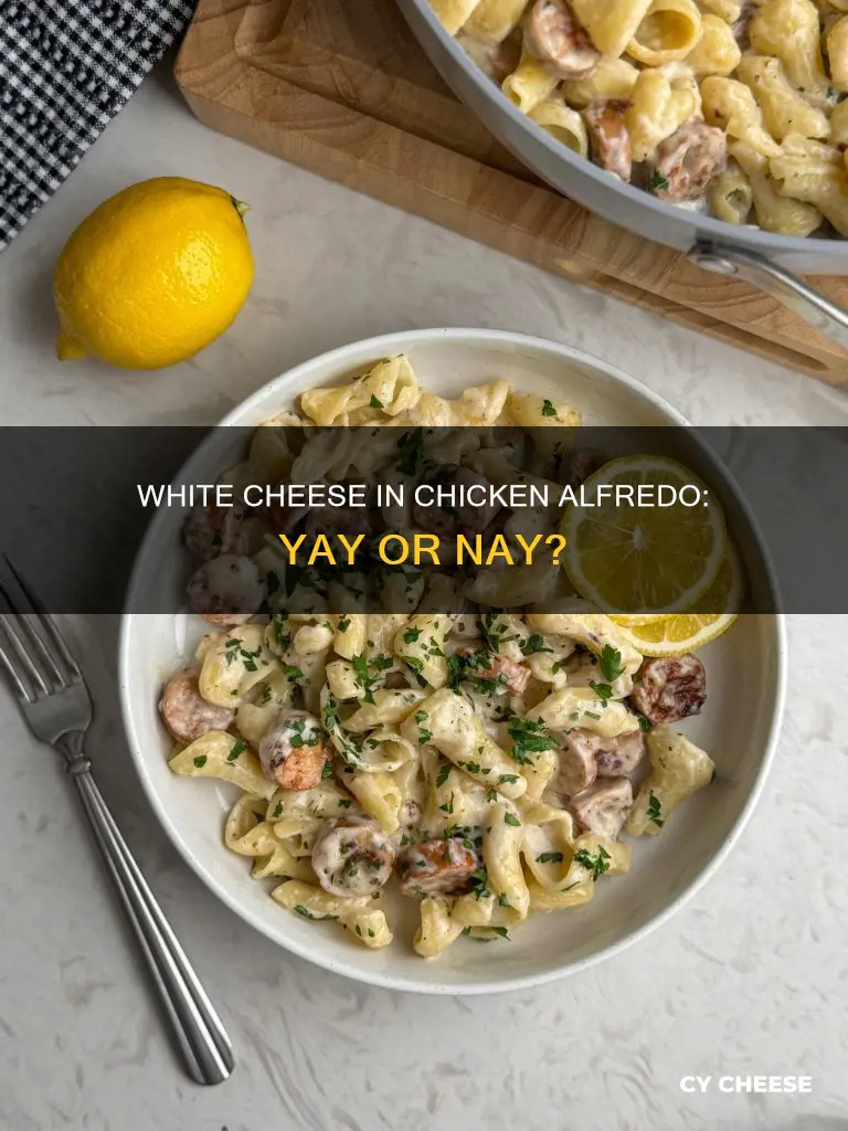 could i use american white cheese in chicken alfredo