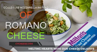 Mozzarella vs Romano: Can You Substitute?