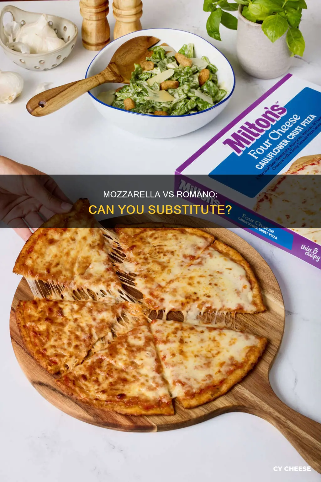 could i use mozzarella instead of romano cheese