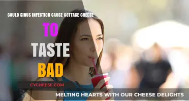 Sinus Infections and Taste: Why Cottage Cheese Might Taste Bad