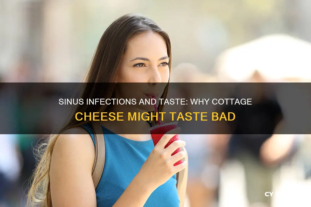 could sinus infection cause cottage cheese to taste bad