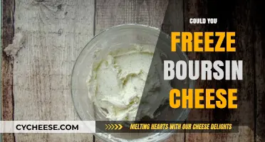 Can You Freeze Boursin Cheese? A Complete Storage Guide