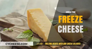 Can You Freeze Cheese? A Guide to Proper Storage and Quality