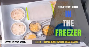 Freezing Cheese: Is It Possible?