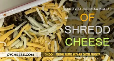 Salsa vs Cheese: A Tasty Alternative?