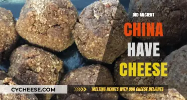 Unraveling the Mystery: Did Ancient China Include Cheese in Their Diet?