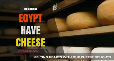 Ancient Egyptian Cheese: Uncovering the Dairy Secrets of the Pharaohs