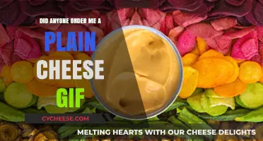 Did Anyone Order a Plain Cheese GIF? The Internet's Cheesiest Trend