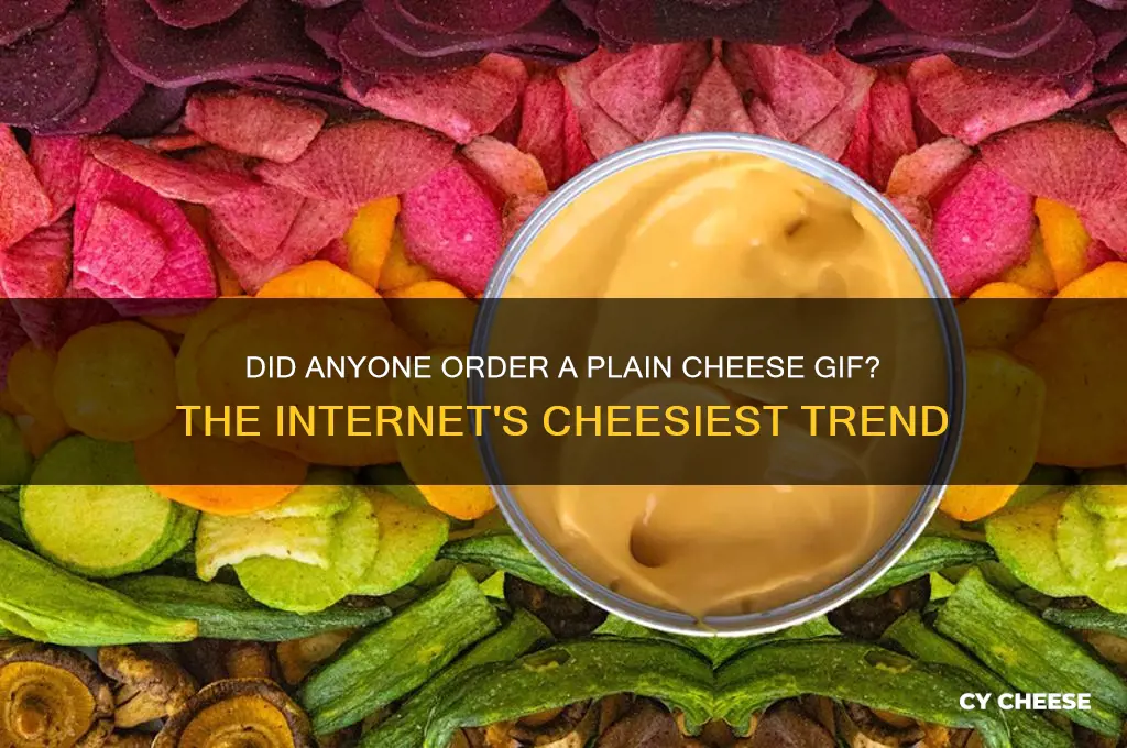 did anyone order me a plain cheese gif