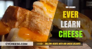 Exploring Asia's Cheese History: Did Asians Ever Learn Cheese?