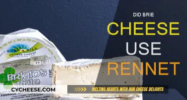 Brie Cheese Rennet: What's the Connection?