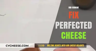 Bungie's Update: Perfected Cheese Fix Explained and Analyzed