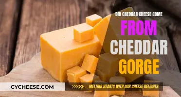 The Origin of Cheddar Cheese: A Journey to Cheddar Gorge