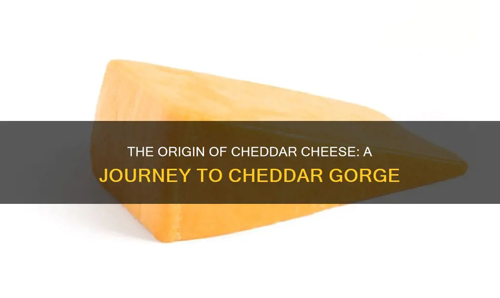 did cheddar cheese come from cheddar gorge