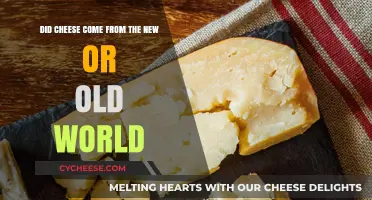 Old World Origins: Unraveling Cheese's Ancient History and Global Journey