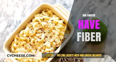 Does Cheese Contain Fiber? Unraveling the Nutritional Truth