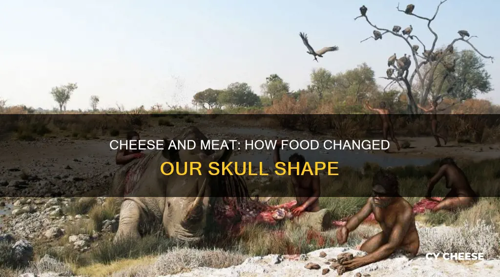 did cheese or cooking meat change shape of human skull