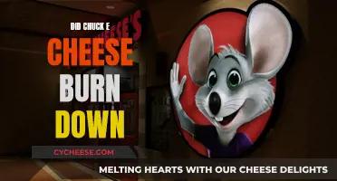 Chuck E. Cheese: Destroyed by Fire? The Truth Behind the Rumors