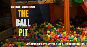 Chuck E. Cheese's Ball Pit: A Thing of the Past?