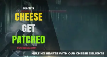 Crota's End: The Cheesy Strategy and Its Patch
