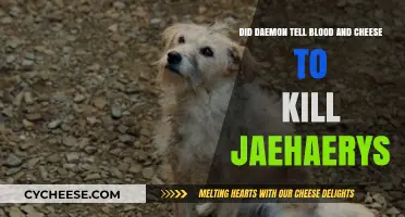 Daemon's Role in Blood and Cheese's Plot to Kill Jaehaerys