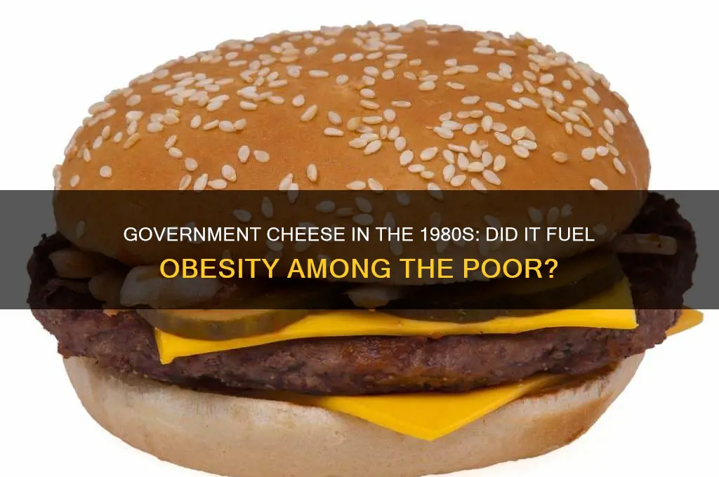 did government cheese in 1980s cause obesity in the poor