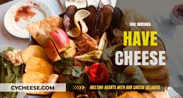 Exploring Ancient Indian Cuisine: Did Cheese Exist in Traditional Recipes?