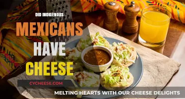 Indigenous Mexican Cheese Traditions: Uncovering Pre-Columbian Dairy Practices