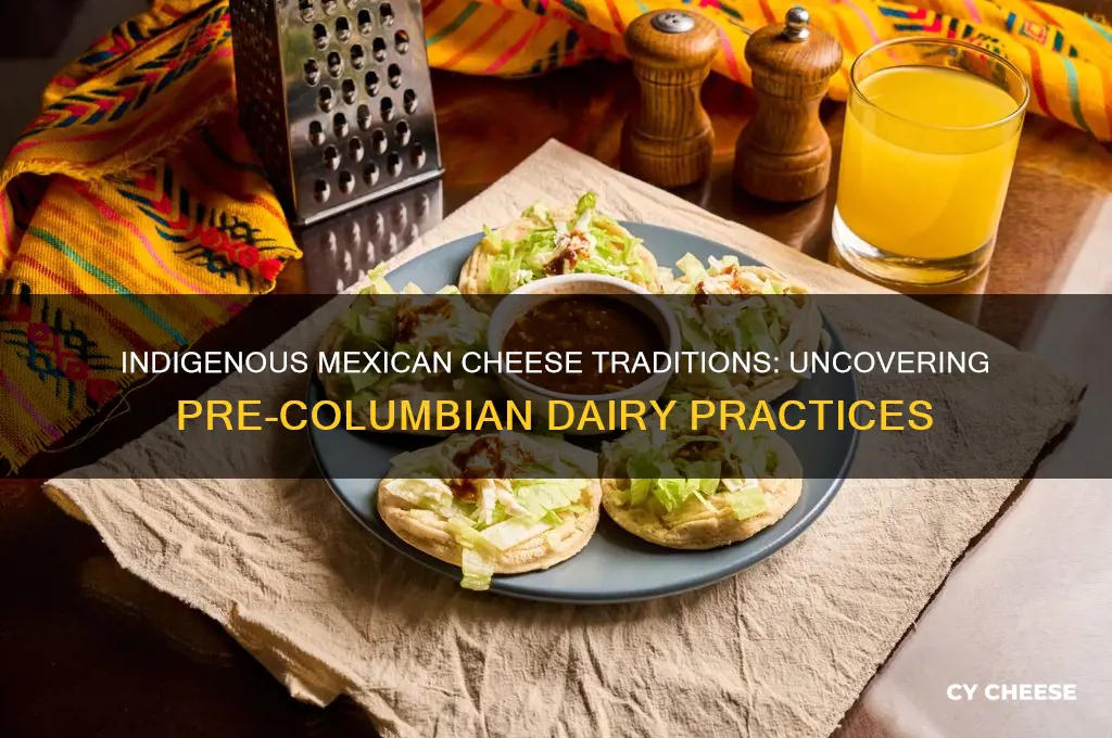 did indigenous mexicans have cheese