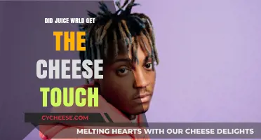 Juice Wrld's Tragic End: Did He Get the Cheese Touch?