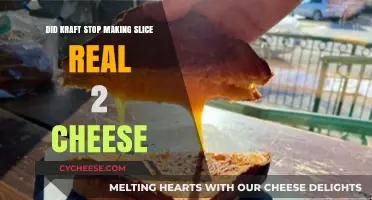 Kraft Discontinues Slice Real 2 Cheese: What Happened?