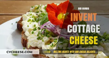Exploring the Origins: Did Kurds Invent Cottage Cheese?