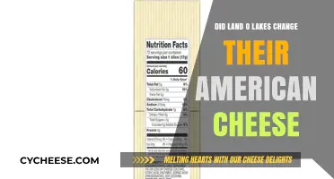Land O'Lakes American Cheese: Has the Recipe Changed?