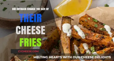 Outback Cheese Fries Size Change: Fact or Fiction?