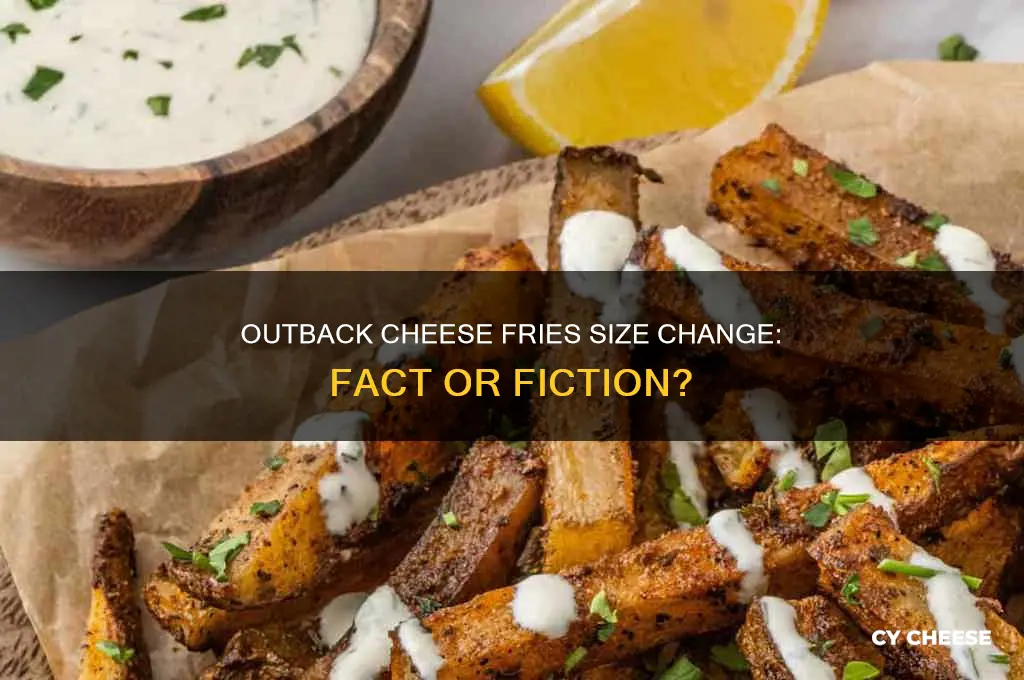 did outback change the size of their cheese fries