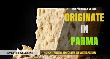 The True Origin of Parmesan Cheese