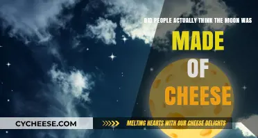 Moon Myth: Unraveling the Cheesy Legend