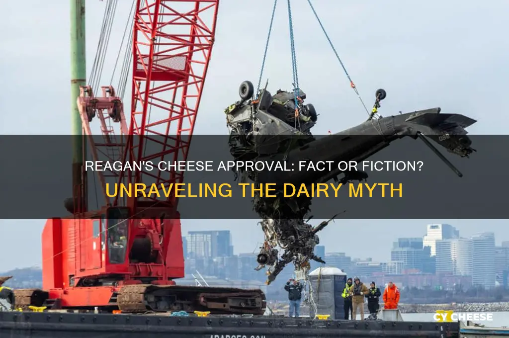 did president reagan approve cheese