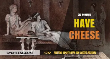 Did Romans Have Cheese? Exploring Ancient Roman Dairy Delights