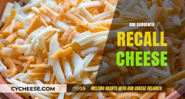 Sargento Cheese Recall: What You Need to Know Now