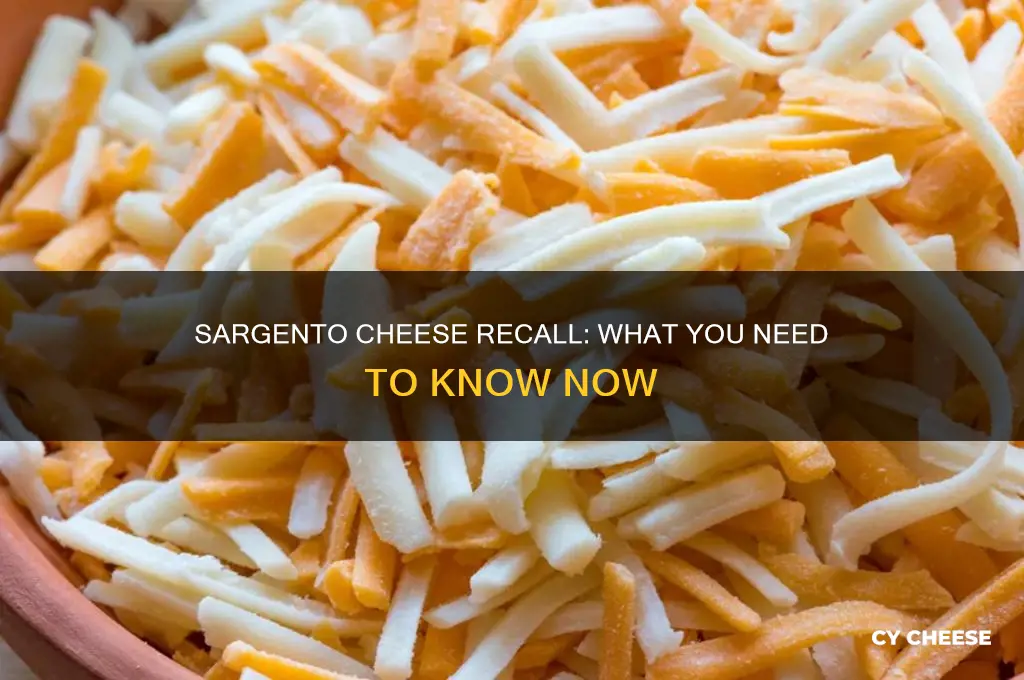 did sargento recall cheese