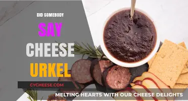 Did Somebody Say Cheese? Urkel's Iconic Style and Legacy Explored