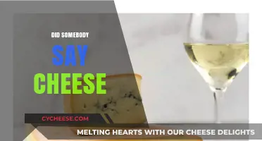 Did Somebody Say Cheese? Exploring the Irresistible Charm of Everyone's Favorite Dairy Delight