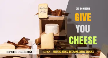 Did Someone Give You Cheese? Unraveling the Mystery Behind the Question