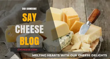 Did Someone Say Cheese? Exploring the World of Cheesy Delights