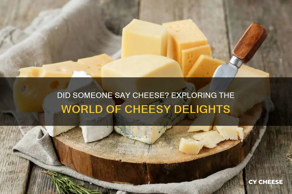 did someone say cheese blog