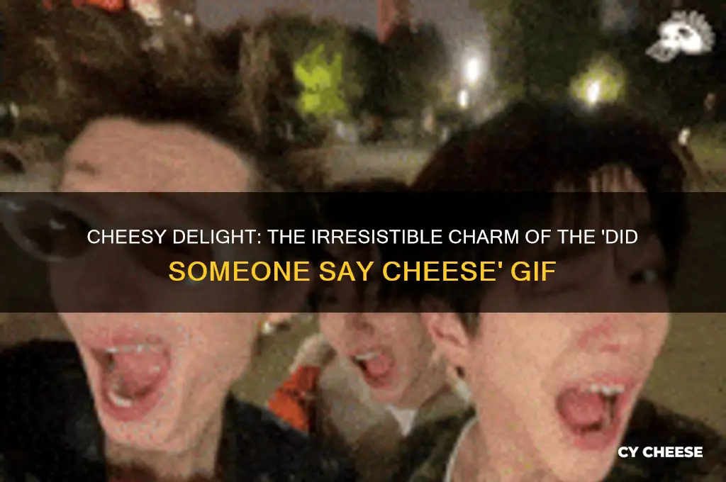 did someone say cheese gif