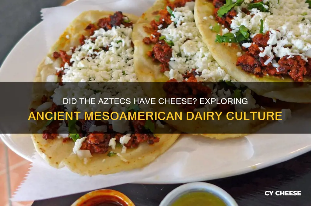 did the aztecs have cheese