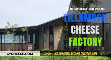 Tillamook Cheese Factory: Government Takeover Rumors Explained