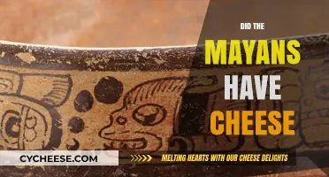 Did the Mayans Have Cheese? Unraveling Ancient Culinary Mysteries